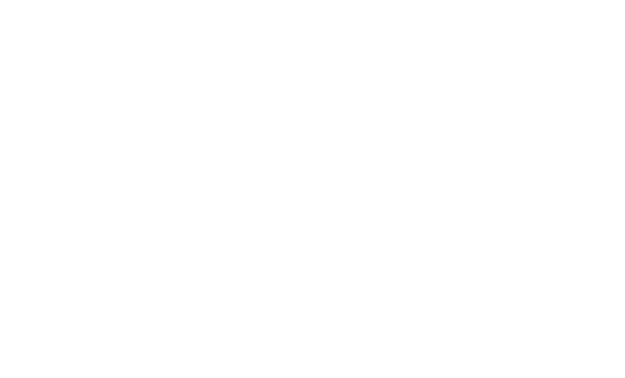 ビストロ料理とワインを中心としたアットホームな西洋料理店